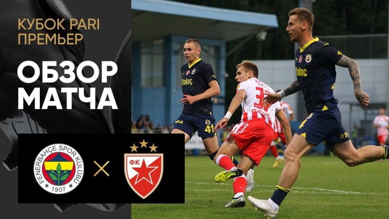 Фенербахче &mdash; Црвена Звезда. Голы и лучшие моменты